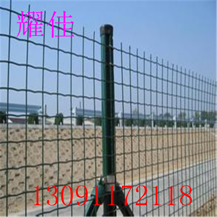 u=4226583672,4231244258&fm=21&gp=0.jpg