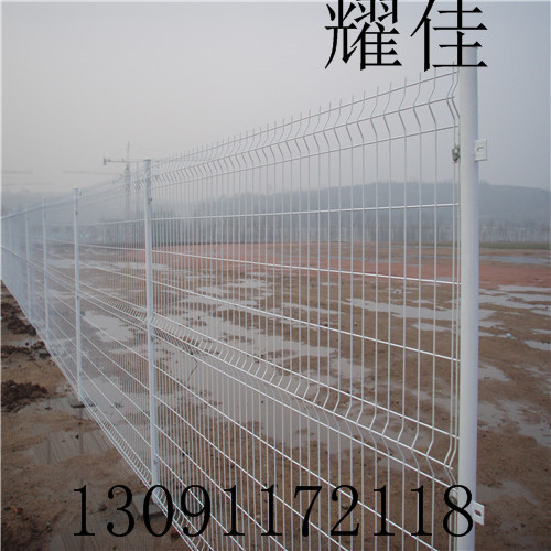 双边丝 (14).JPG