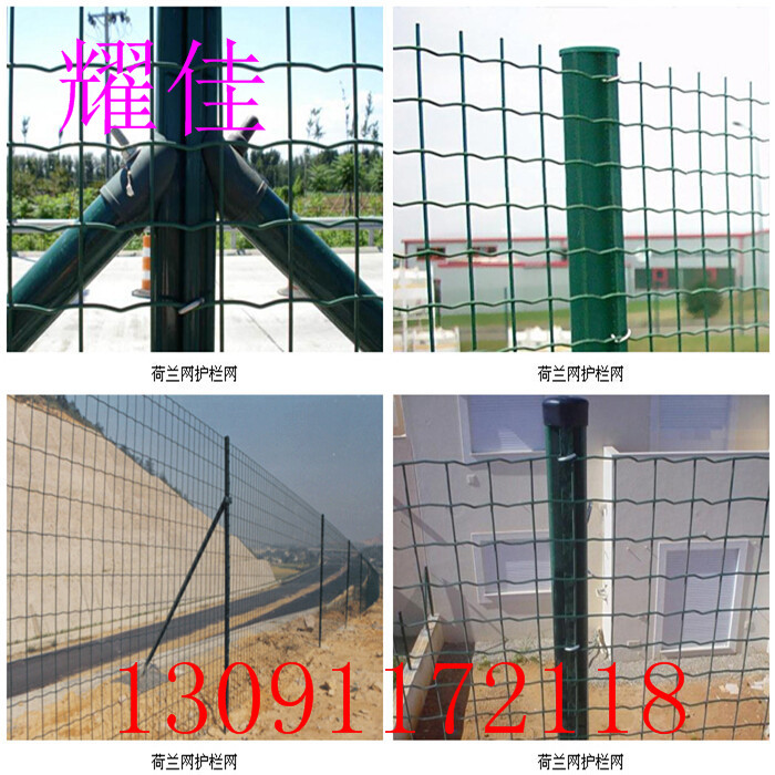 荷兰网 (13).jpg