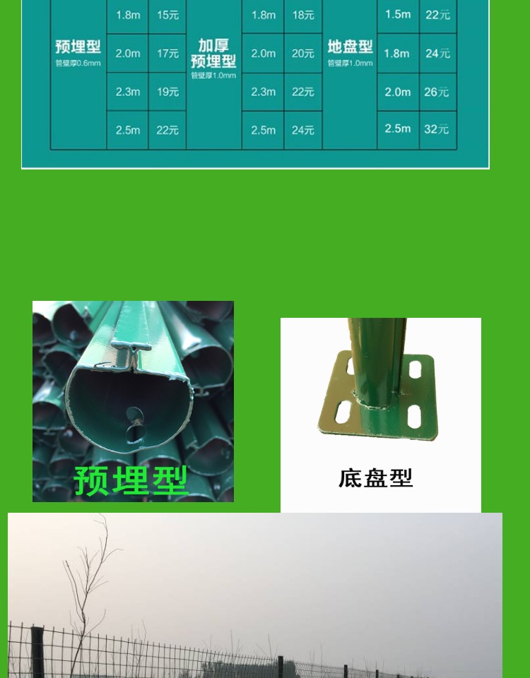 荷兰网10.jpg