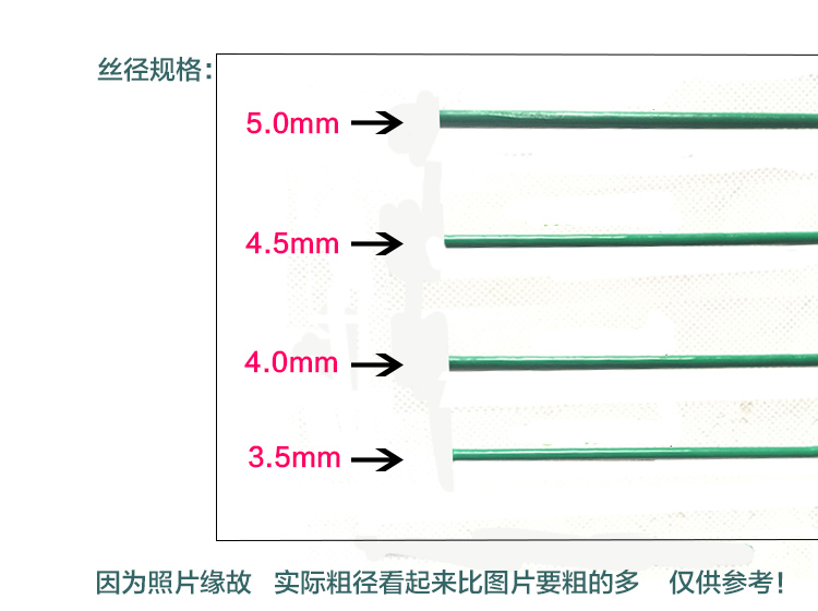 双边丝7.jpg