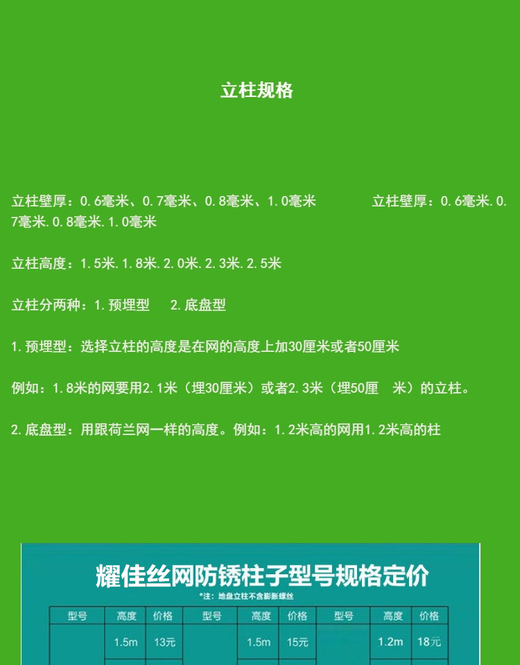 荷兰网9.jpg