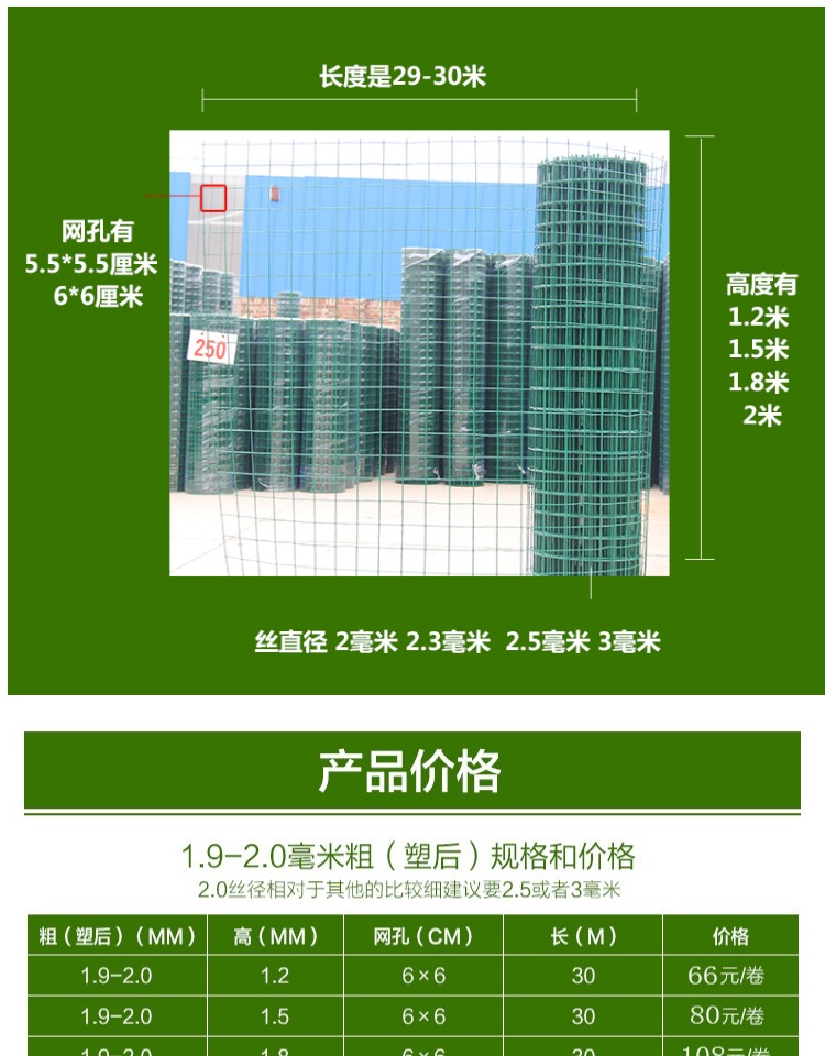荷兰网3.jpg