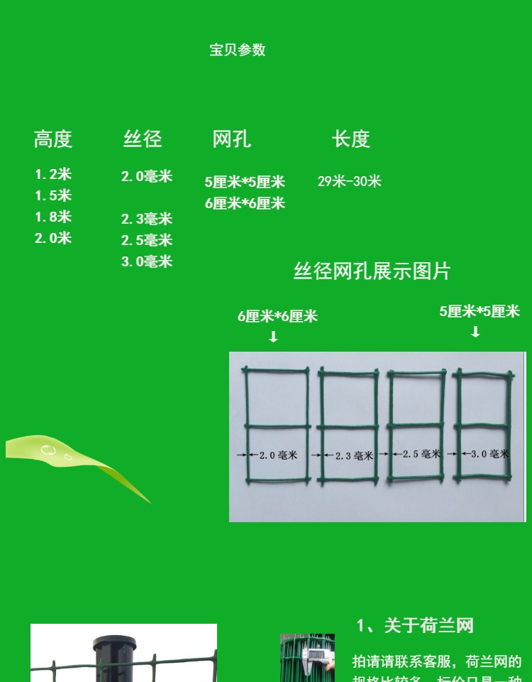 荷兰网6.jpg
