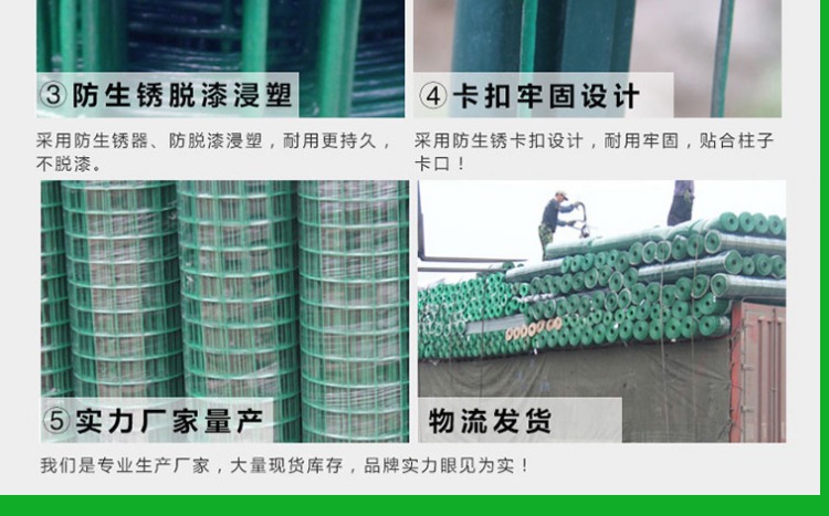 荷兰网8.jpg