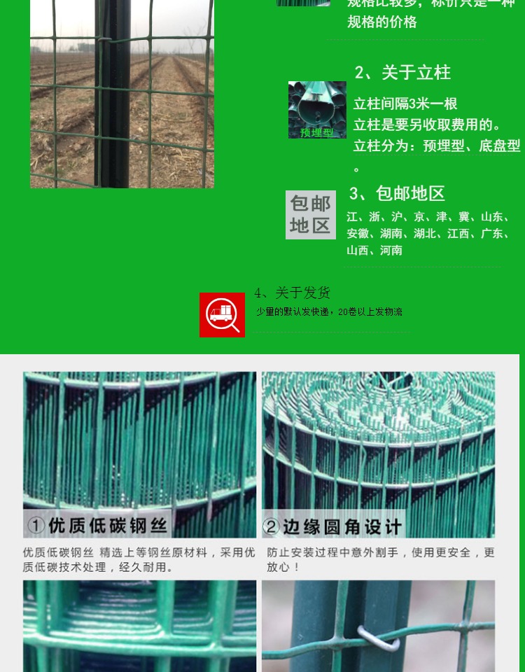 荷兰网7.jpg